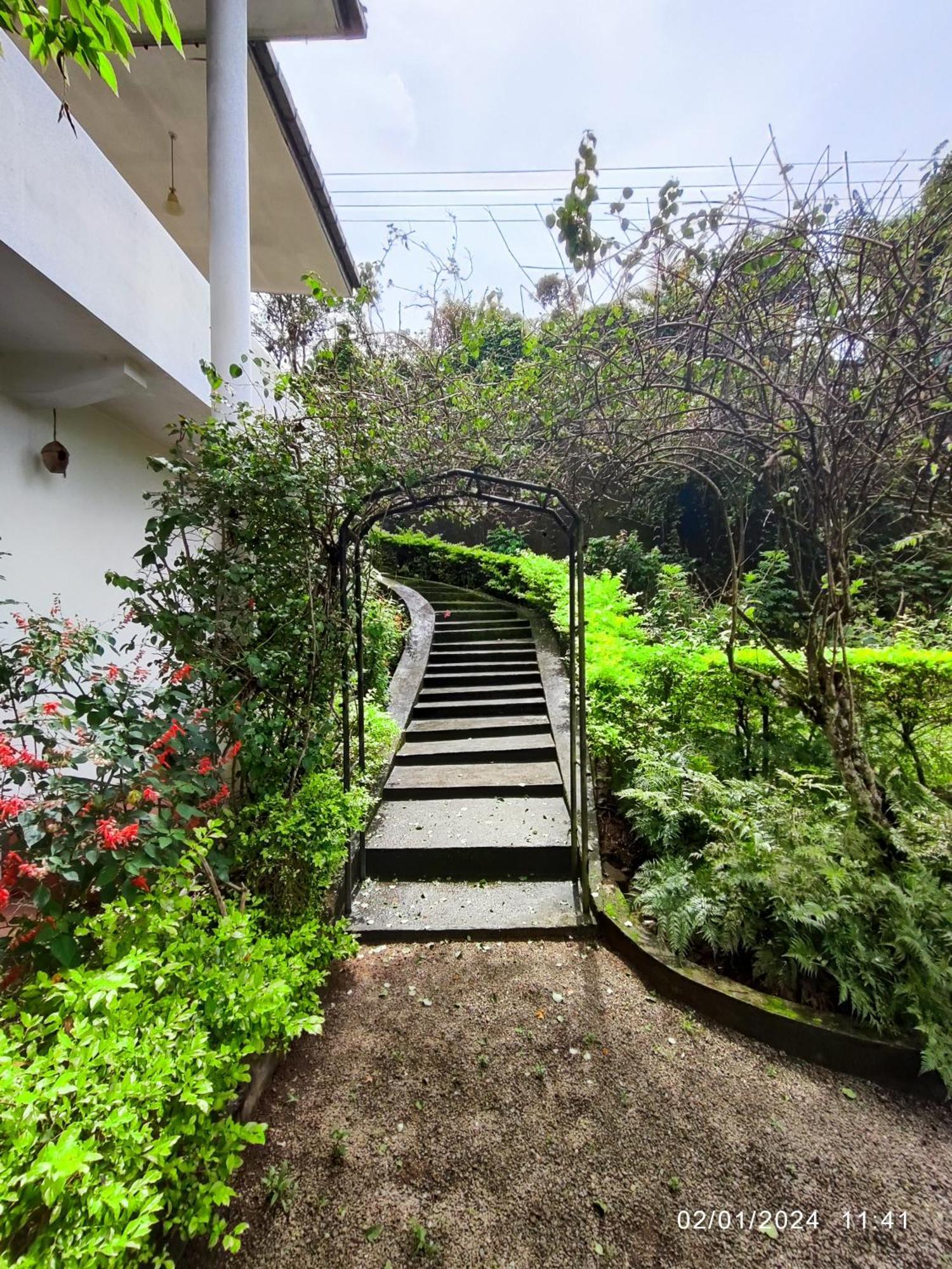 Spring Shannon Heritage Дияталава Экстерьер фото